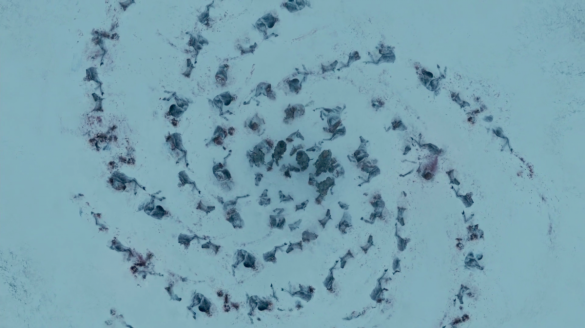 Dead horses left by the White Walkers in a spiral configuration that matches the spiral of the Children